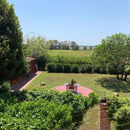 Casale Degli Ulivi Maccarese Villa Le Cerquete Luaran gambar