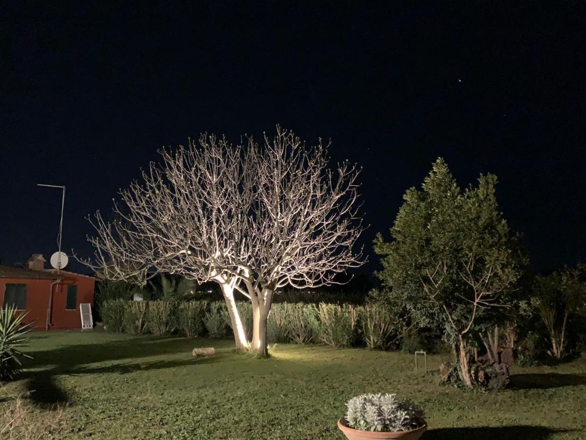 Casale Degli Ulivi Maccarese Villa Le Cerquete Luaran gambar