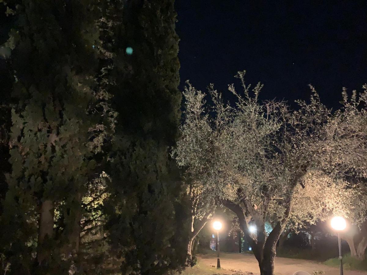 Casale Degli Ulivi Maccarese Villa Le Cerquete Luaran gambar