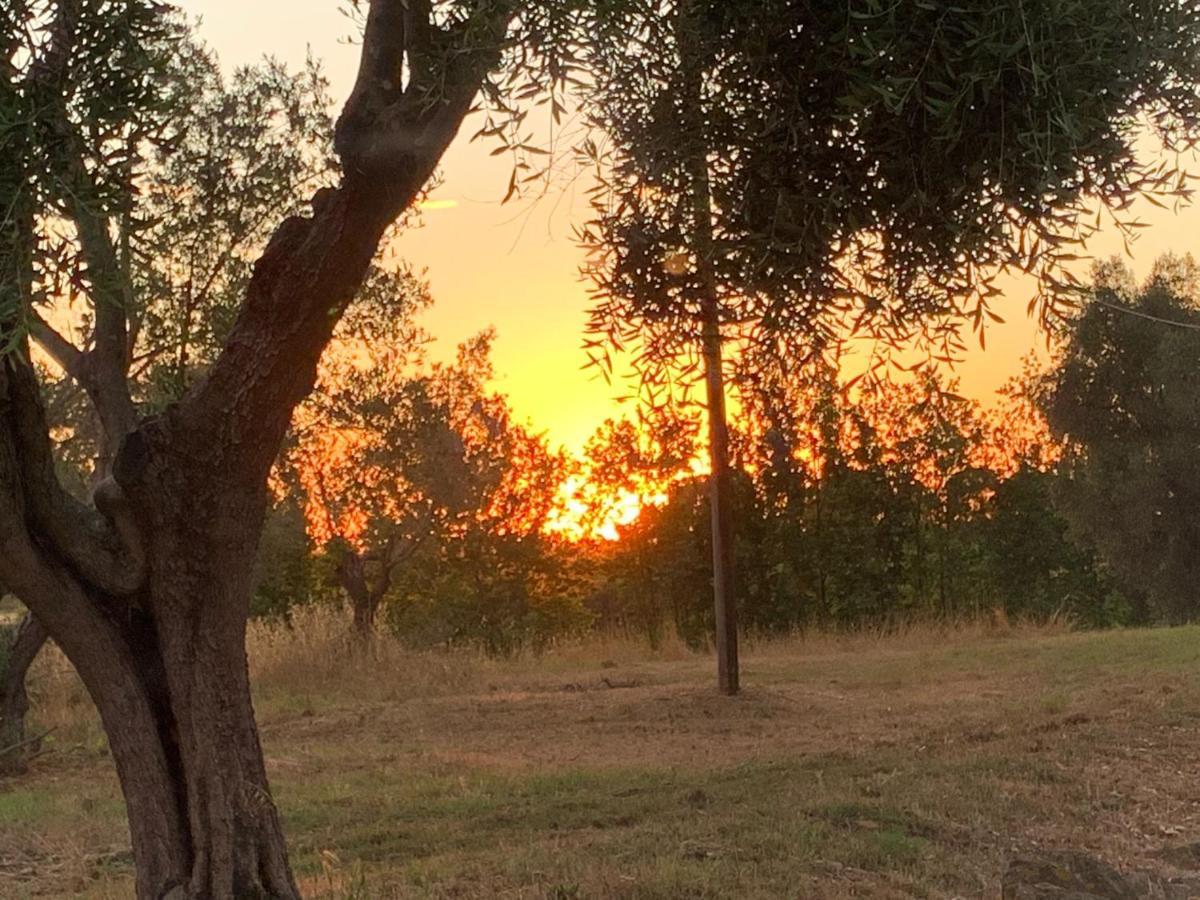 Casale Degli Ulivi Maccarese Villa Le Cerquete Luaran gambar