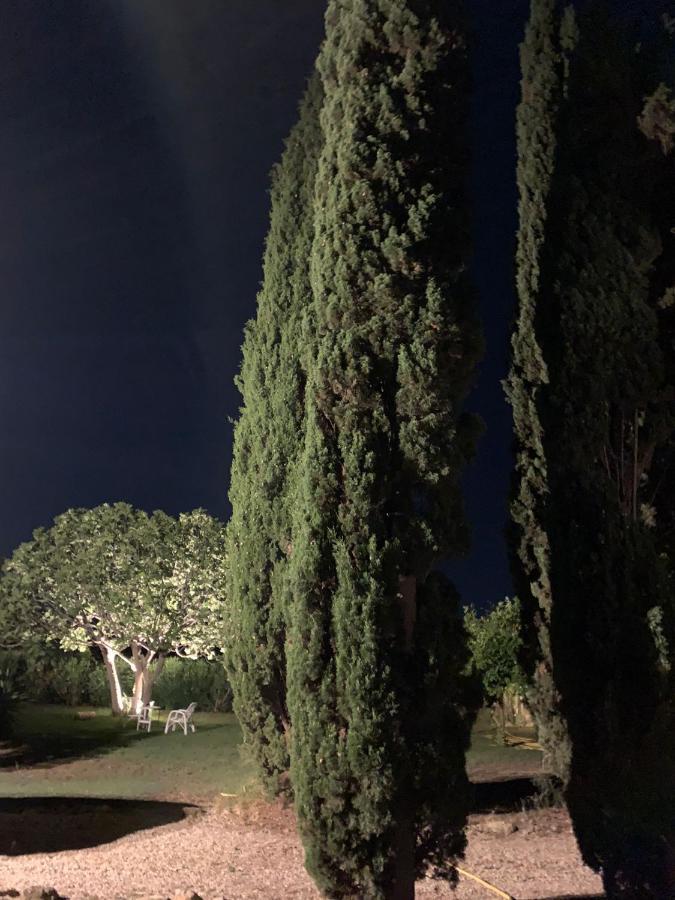 Casale Degli Ulivi Maccarese Villa Le Cerquete Luaran gambar