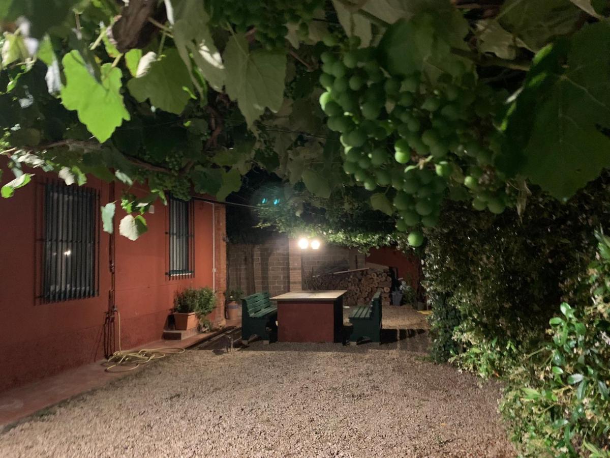 Casale Degli Ulivi Maccarese Villa Le Cerquete Luaran gambar